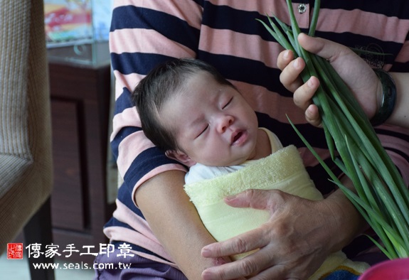 林寶寶(台中北區到府嬰兒寶寶滿月剃頭理髮、免費到府嬰兒剃胎毛儀式吉祥話)。到府剃頭剃胎毛主持、專業拍照、DVD光碟、證書。★購買「臍帶章、肚臍章、胎毛筆刷印章」贈送：剃頭、收涎、抓周，三選一。2015.11.04 照片12